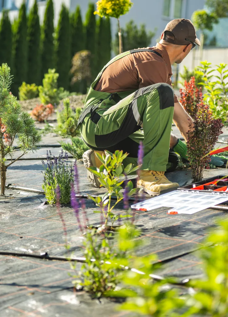 Jardinero trabajando